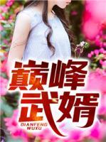 巔峰武婿