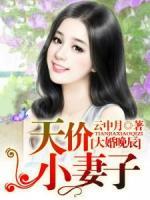 大婚晚辰，天價小妻子