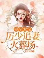幸孕雙寶：厲少追妻火葬場(chǎng)