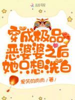 穿成極品惡婆婆之后她只想洗白