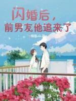 閃婚后，前男友他追來了