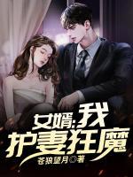 女婿：我，護妻狂魔