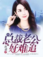 總裁老公，好難追