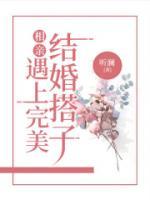 相親遇上完美結(jié)婚搭子