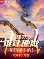 精靈，誰讓他做道館館主的