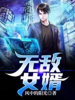 無(wú)敵女婿