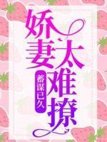 蓄謀已久：嬌妻太難撩