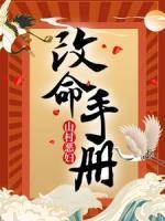 山村惡婦改命手冊(cè)