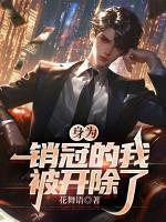 身為銷冠的我，被開除了