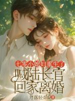 七零小媳婦重生了，喊陸長官回家離婚