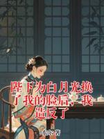 陛下為白月光換了我的臉后，我造反了