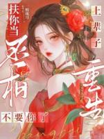 上輩子扶你當(dāng)丞相，重生不要你了