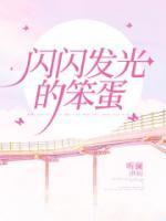 閃閃發(fā)光的笨蛋
