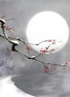 給我一場(chǎng)荒唐的結(jié)局