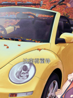沈南梔霍錚