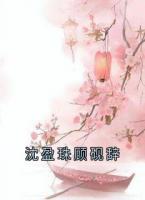 沈盈珠顧硯辭