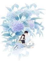 霸道前妻