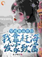 一個極品棄婦的奮斗日常