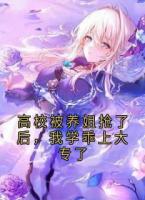 高校被養(yǎng)姐搶了后，我學乖上大專了