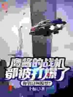鷹醬的戰(zhàn)機都被打爆了，你管這叫模型？
