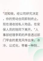 被開(kāi)除后，我成了前公司的甲方