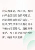 重生八零，我要當(dāng)萬(wàn)元戶(hù)