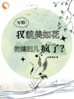 軍婚：我貌美如花的媳婦兒瘋了？