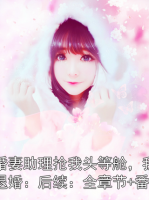 未婚妻助理搶我頭等艙，我選擇退婚：后續(xù)：全章節(jié)+番外