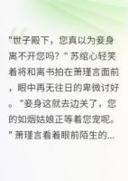 側(cè)妃出逃，世子殿下瘋了
