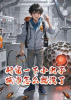 研究一下小蟲子城市怎么就沒了