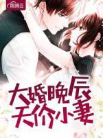大婚晚辰，天價小妻子