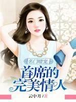 名門暗寵：首席的完美情人