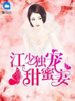 江少獨(dú)寵甜蜜妻
