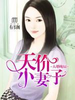 大婚晚辰，天價小妻子