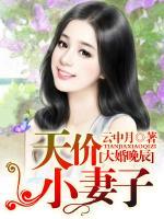 大婚晚辰，天價小妻子