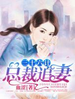 總裁追妻三十六計(jì)