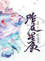 昨夜星辰昨夜風(fēng)